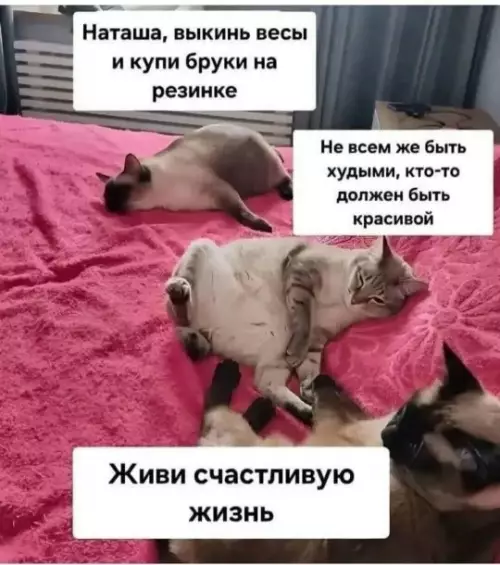 Смешная картинка №788867