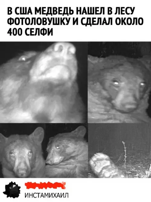 Смешная картинка №673275