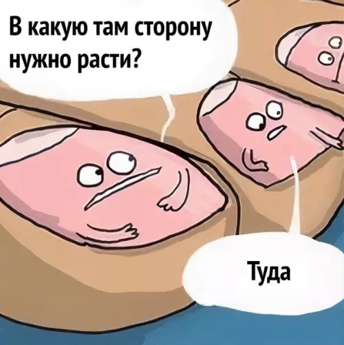 Смешная картинка №559264 Hy жизa