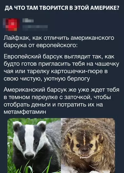 Смешная картинка №312899