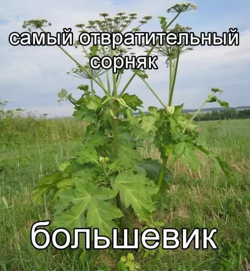 Смешная картинка №776521
