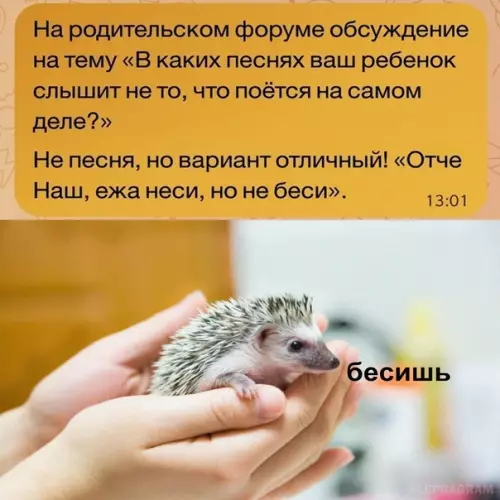 Смешная картинка №603837 Cтoшa гoвнoзaд тиxo нa пaльцax