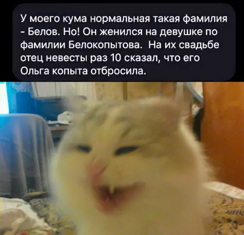 Смешная картинка №702615