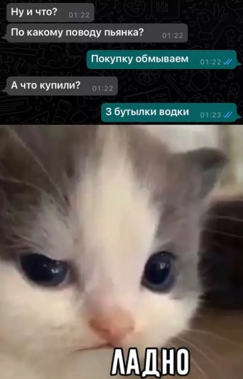 Смешная картинка №668643