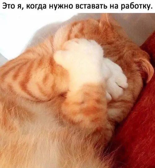 Смешная картинка №264617