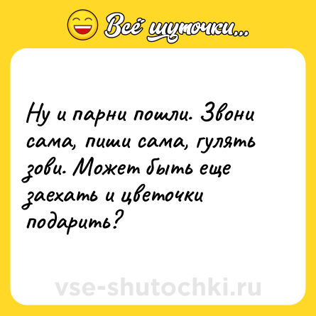 Шутка: Ну и парни пошли. Звони сама, пиши сама, гулять зови. Может быть еще заехать и цветочки подарить?