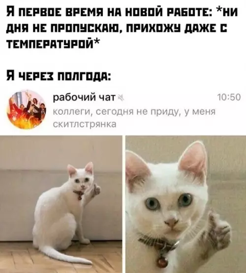 Смешная картинка №444151