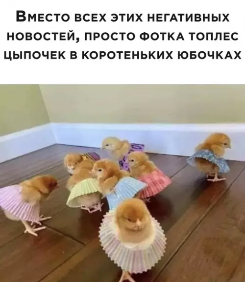 Смешная картинка №504476