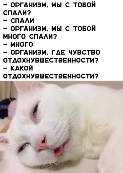 Смешная картинка №343050