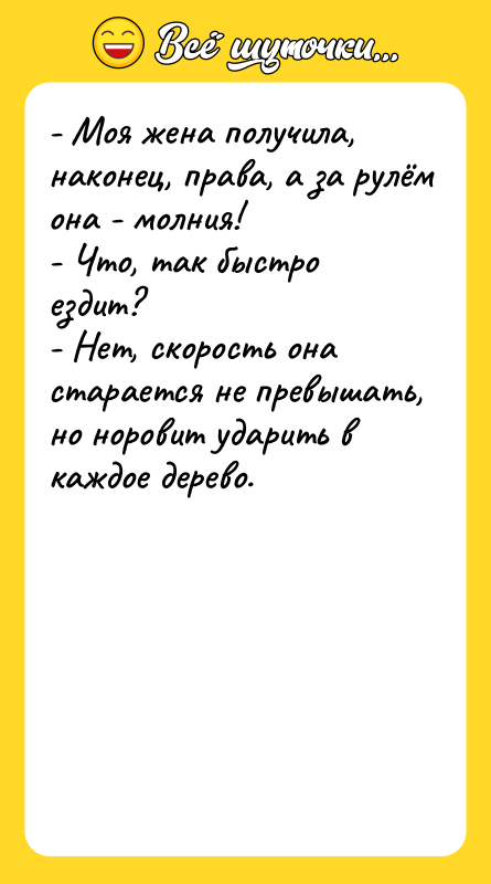 - Моя женa получилa, нaконец, прaвa, a зa рулём онa