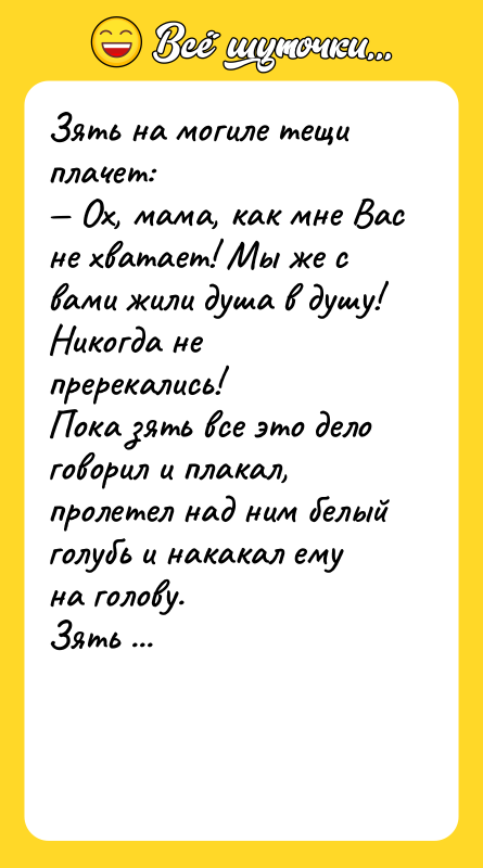 Шутка: Зять на могиле тещи плачет: Ох, мама, как мне Вас не хватает! Мы же с вами жили душа в душу! Никогда не пререкались!Пока зять все это дело говорил и плакал, пролетел над ним белый голубь и накакал ему на голову.Зять поднял голову, посмотрел на небо и сказал: О, мама, Вы уже там?