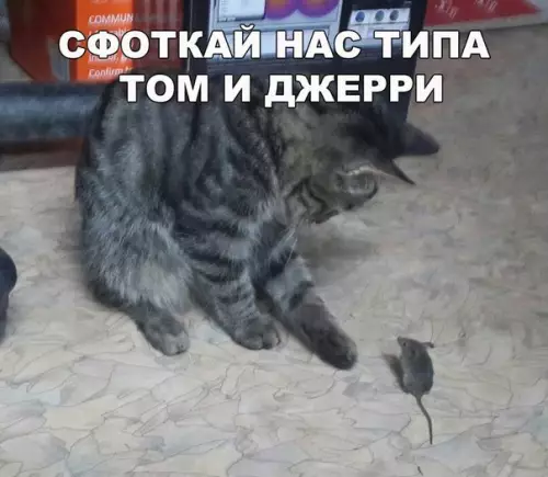 Смешная картинка №201195