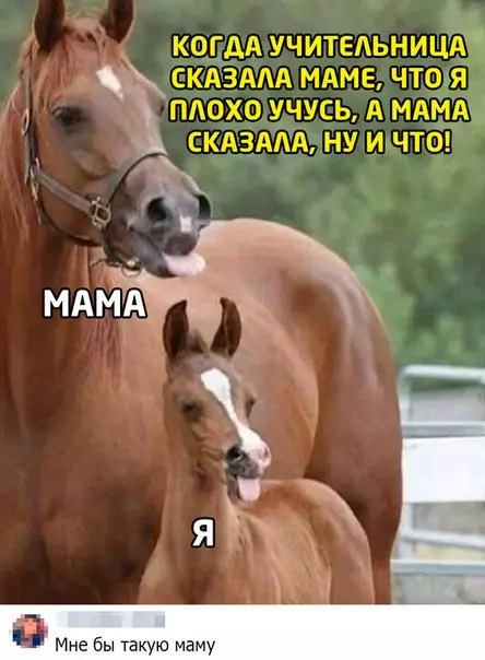 Смешная картинка №494071