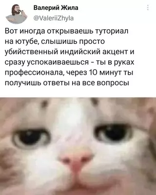 Смешная картинка №677188