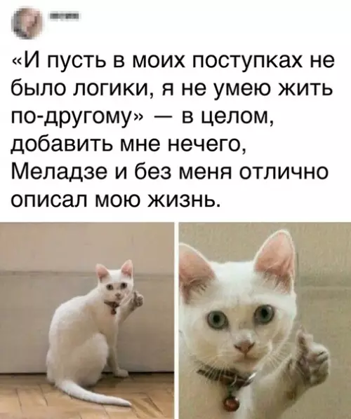 Смешная картинка №356479