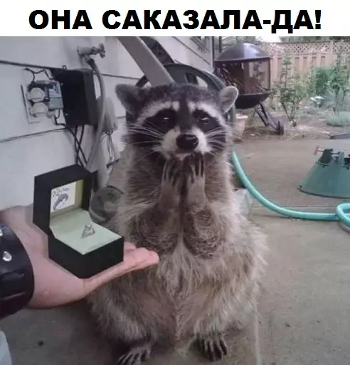 Смешная картинка №308425