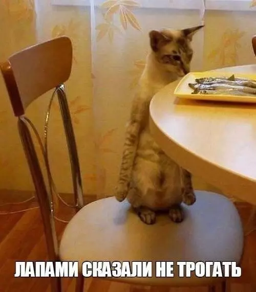 Смешная картинка №174447