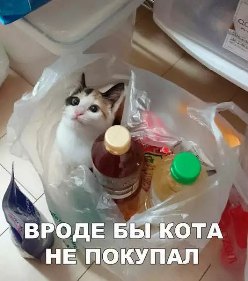 Смешная картинка №188516