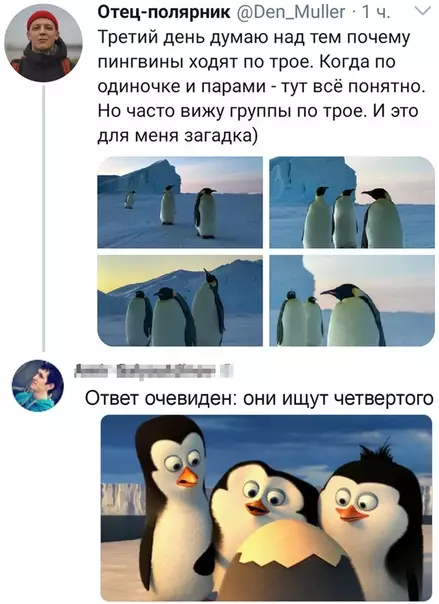 Смешная картинка №498701 Эти пингвины выглядят так, словно записали самый крутой альбом года и фоткаются для обложки