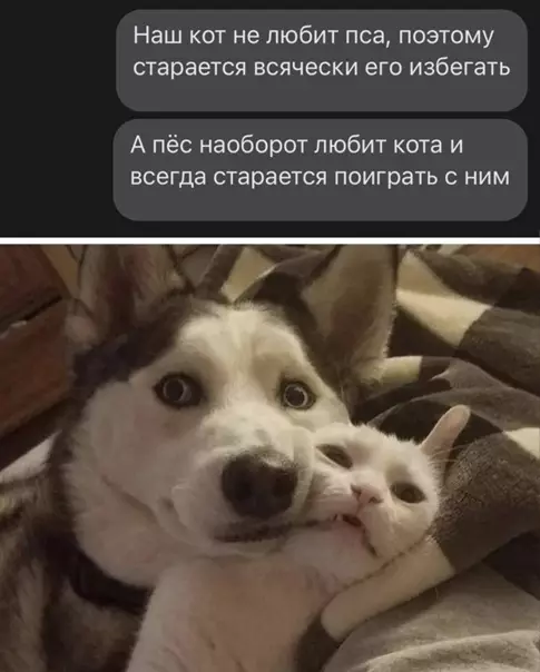 Смешная картинка №561946