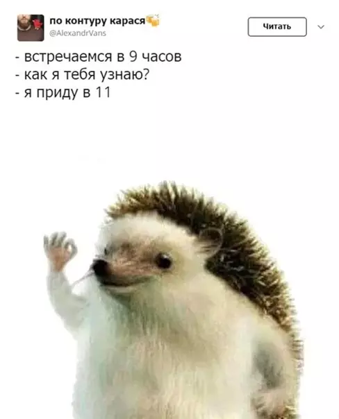 Смешная картинка №543835 Да это же я