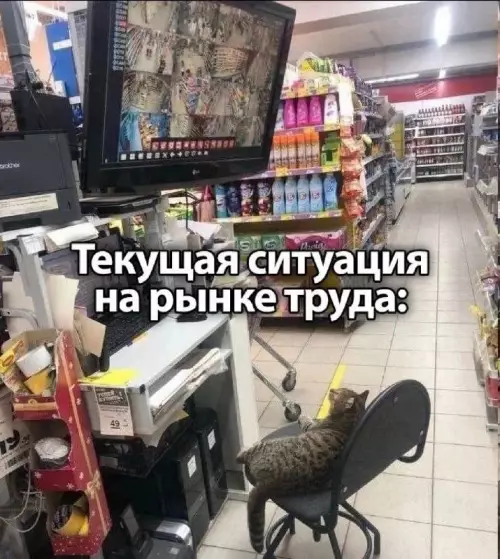 Смешная картинка №741539 Дефицит кадров требует нестандартных решений