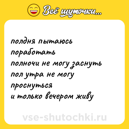 Шутка: полдня пытаюсь поработать<br>полночи не могу заснуть<br>пол утра не могу проснуться<br>и только вечером живу