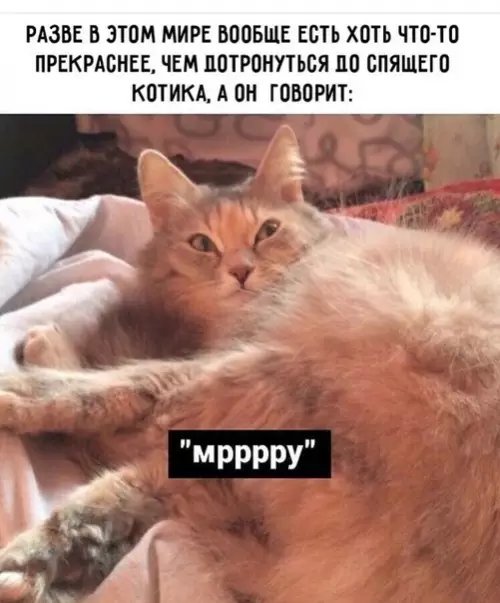 Смешная картинка №515004 Самое прекрасно
