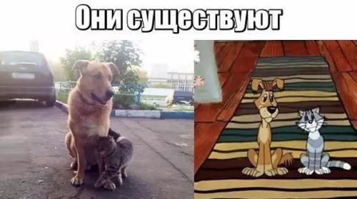 Смешная картинка №271285 Животные, собаки, кошки