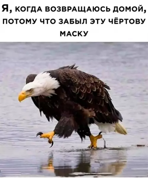 Смешная картинка №510725