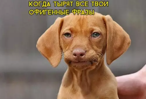 Смешная картинка №286834