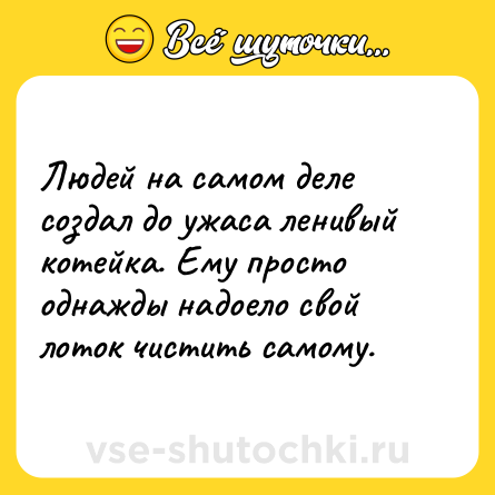 Шутка: Людей на самом деле создал до ужаса ленивый котейка. Ему просто однажды надоело свой лоток чистить самому.