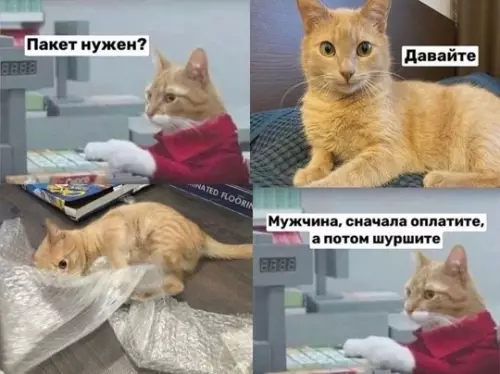 Смешная картинка №776117