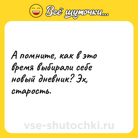 Шутка: А помните, как в это время выбирали себе новый дневник? Эх, старость.