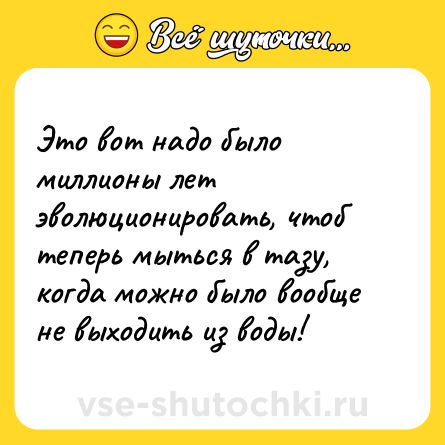 Шутка: Это вот надо было миллионы лет эволюционировать, чтоб теперь мыться в тазу, когда можно было вообще не выходить из воды!