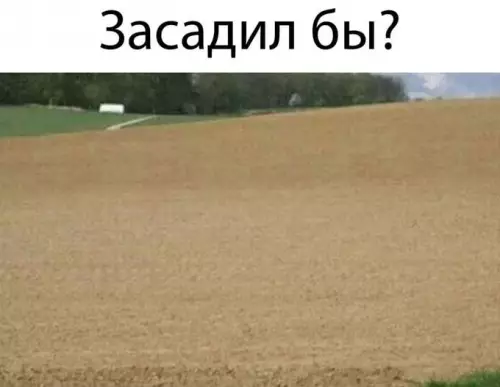 Смешная картинка №715439