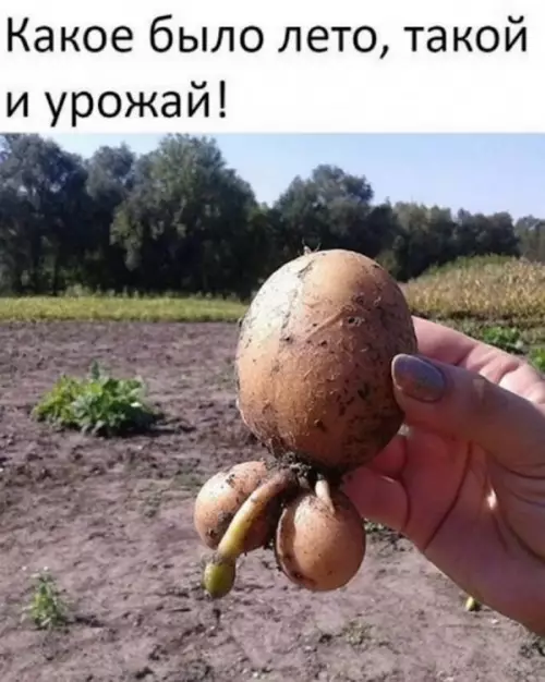 Смешная картинка №654510