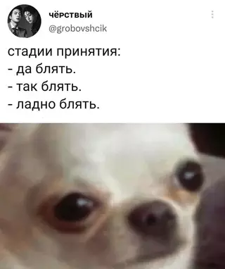 Смешная картинка №667569
