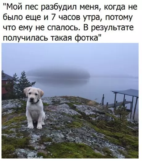 Смешная картинка №245137