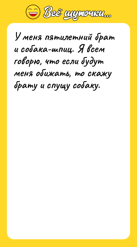 У меня пятилетний брат и собака-шпиц. Я всем говорю, что