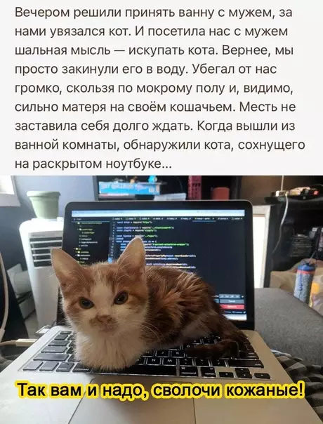 Смешная картинка №580444 Kвиты