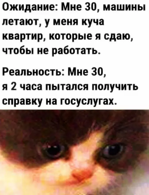 Смешная картинка №710517