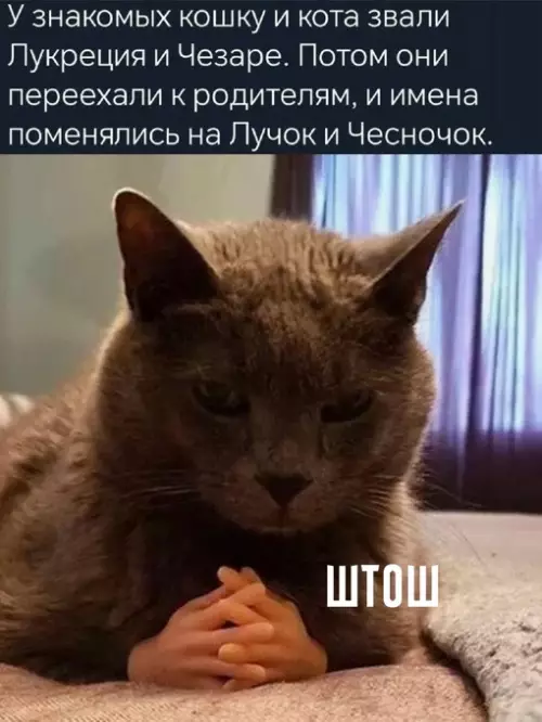 Смешная картинка №715760