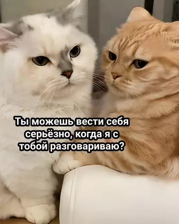 Смешная картинка №750307