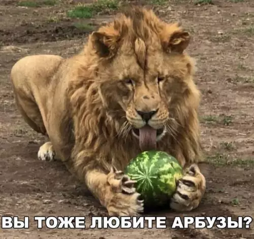 Смешная картинка №199760