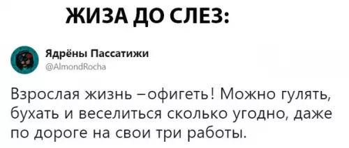 Смешная картинка №294279 лето