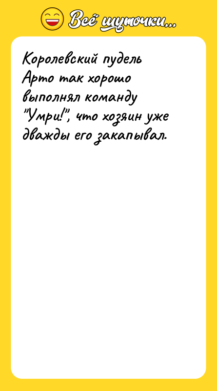 Королевский пудель Арто так хорошо выполнял команду Умри! , что хозяин
