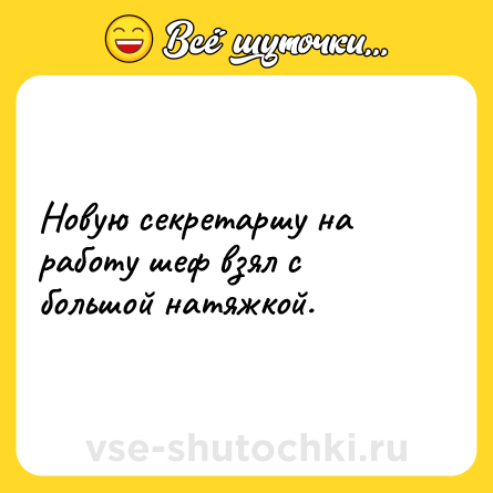 Шутка: Новую секретаршу на работу шеф взял с большой натяжкой.