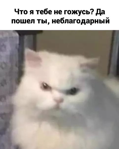 продолжение Смешная картинка №560186