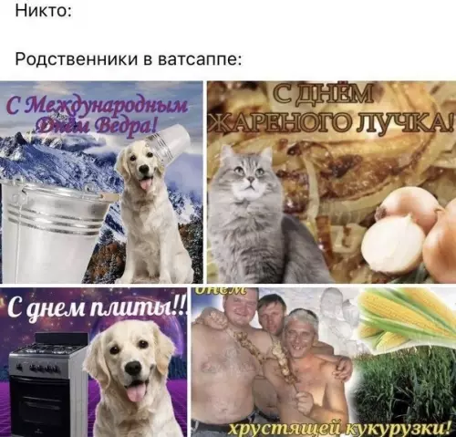 Смешная картинка №489382
